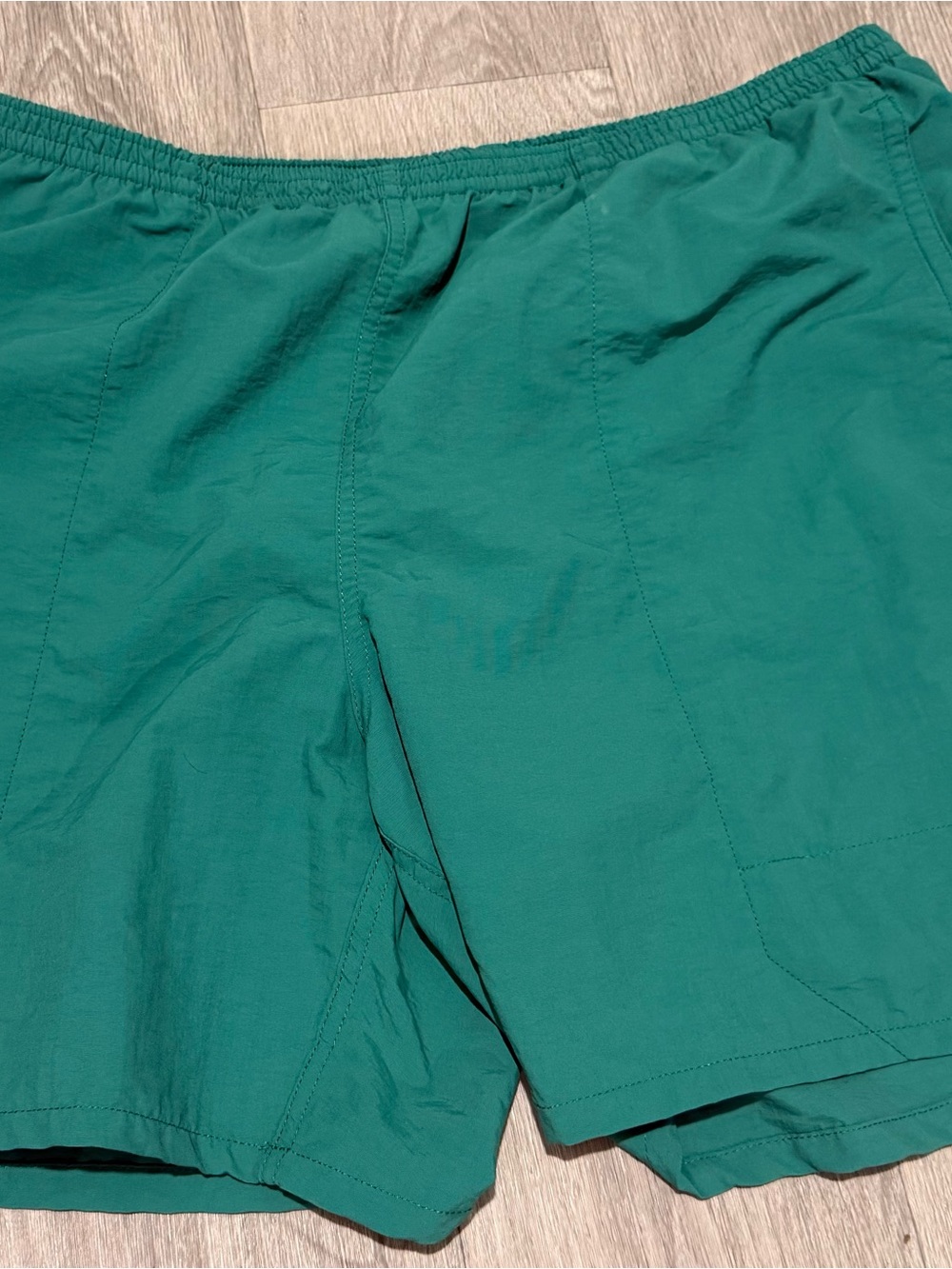 Patagonia Teal Men swim trunks